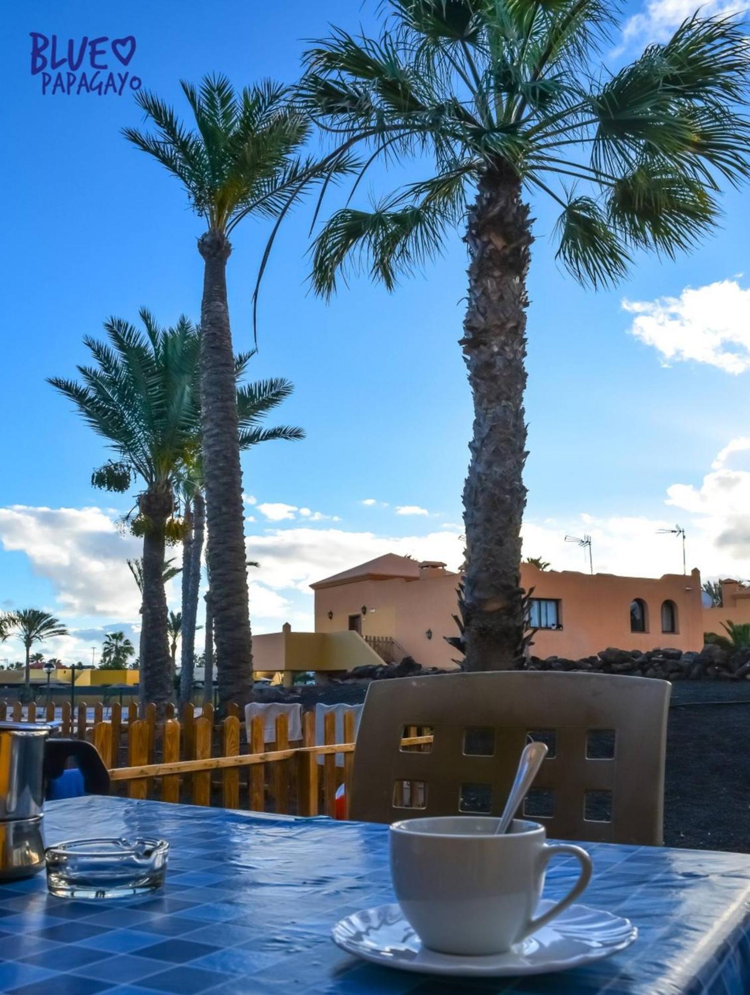 Apartament Two Bedrooms Oasi Blue Papagayo By Rentalfue *